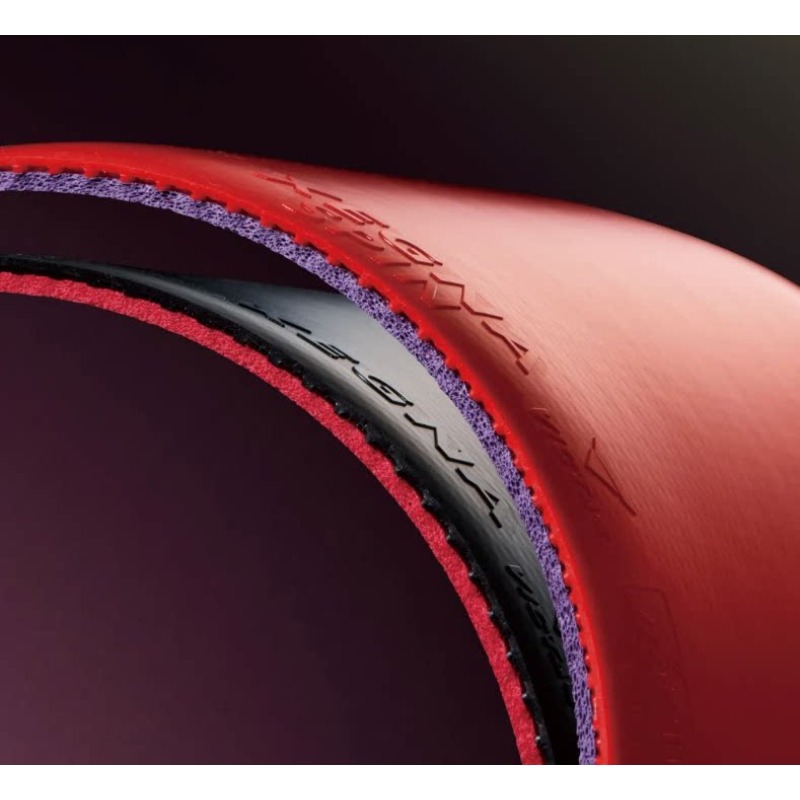 VICTAS XEGNA SPIN XEGNA Tischt – Table Tennis Spin Bewertung und Preis
