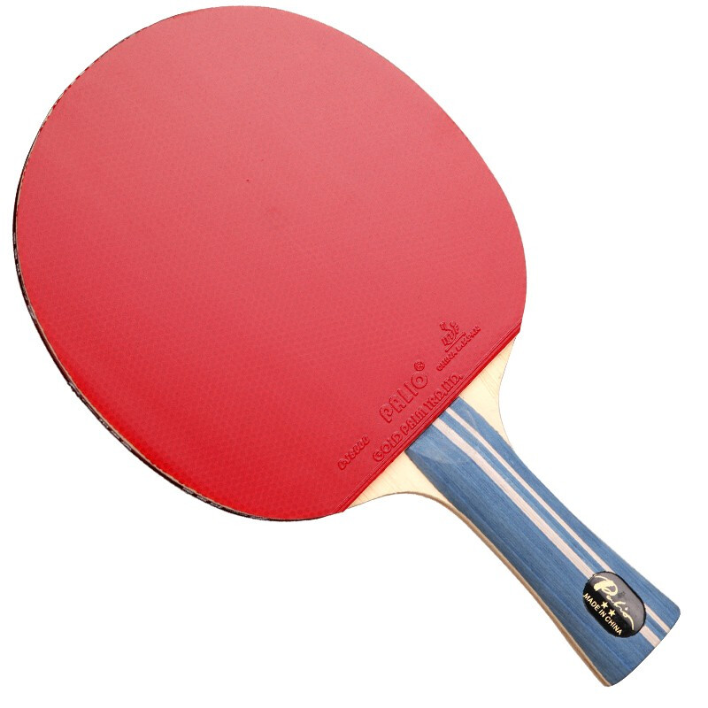 Original PALIO 2-Sterne-Tischt – Table Tennis Spin Bewertung und Preis