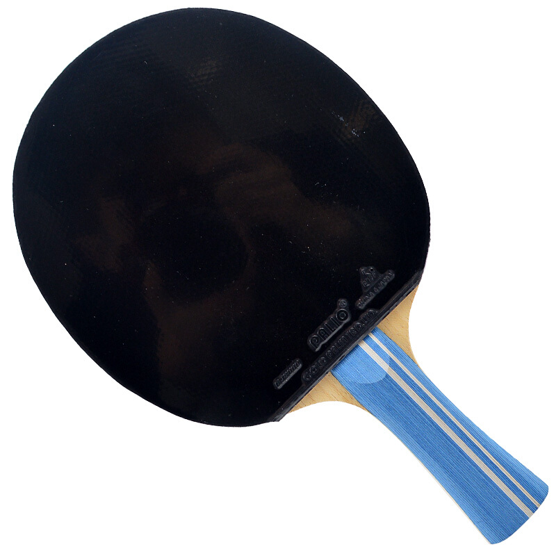 Original PALIO 2-Sterne-Tischt – Table Tennis Spin Bewertung und Preis