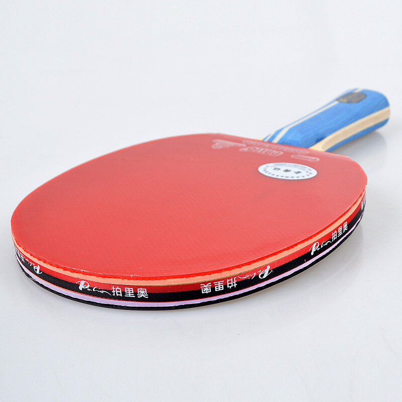 Original PALIO 2-Sterne-Tischt – Table Tennis Spin Bewertung und Preis