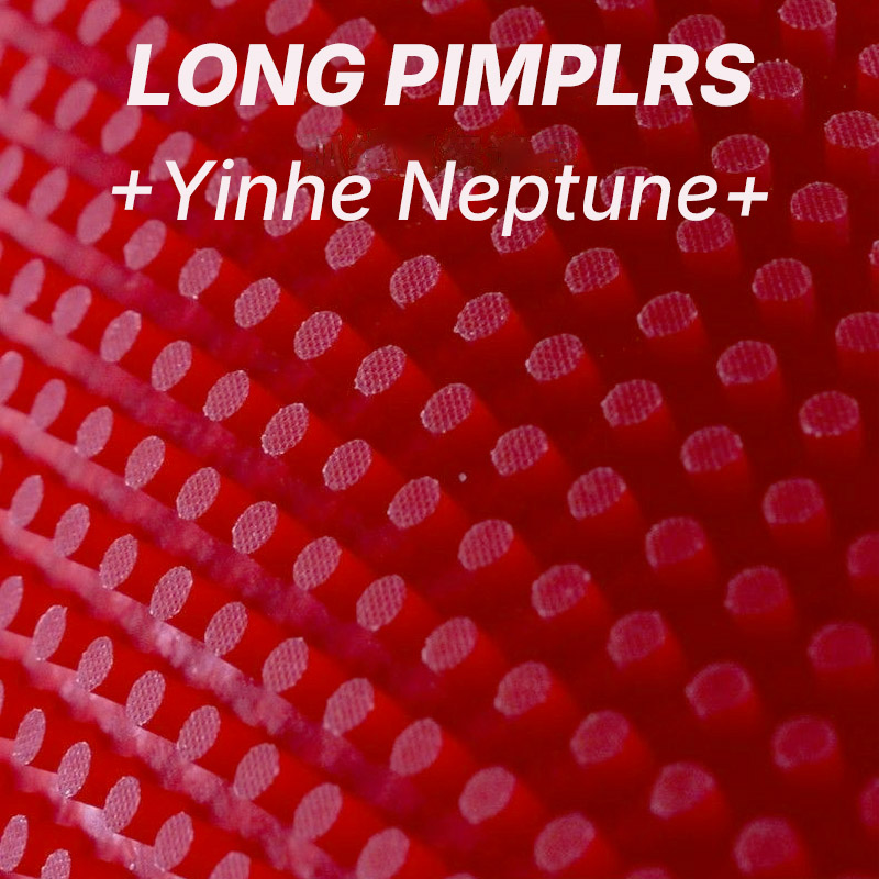 YINHE NEPTUNE Langnoppiger Tis – Table Tennis Spin Bewertung und Preis